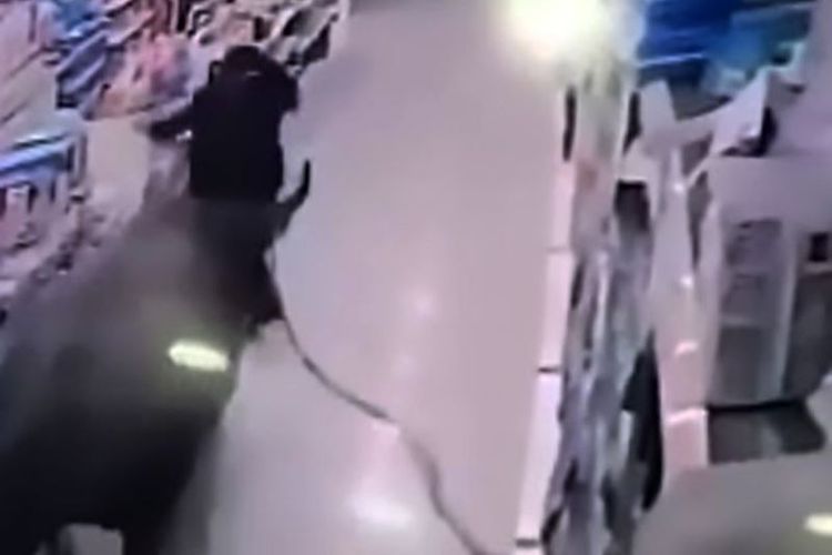 Foto yang diambil dari rekaman CCTV ini memperlihatkan bagaimana kerbau yang kabur dari rumah jagal mengejar seorang perempuan yang sedang berada di sebuah supermarket di kota Yangcheng, China.