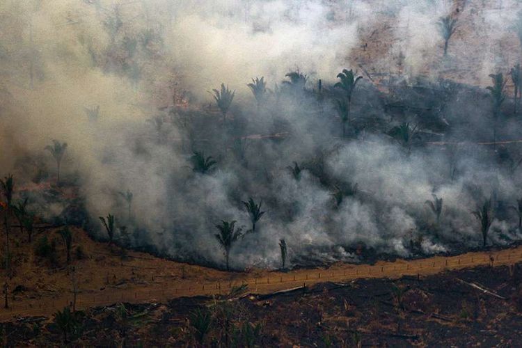 Foto udara menunjukkan asap mengepul dari area hutan yang dilalap api di kawasan Boca do Acre, Amazon, Brasil, Sabtu (24/8/2019). Kebakaran hutan Amazon menjadi sorotan dunia setelah api yang menjalar di paru-paru dunia itu mencapai 18.627 kilometer persegi tahun ini, dengan 76.720 kebakaran terjadi dari Januari-Agustus.