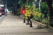 Nilai Anggaran Pengadaan Pohon Plastik Masih Misteri