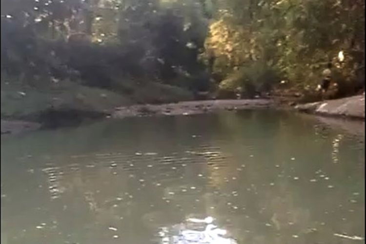 Ribuan ikan di Sungai Indon Desa Tladan Kabupaten Magetan mati mendadak 2 hari terakhir. Matinya ribuan ikan dan kondisi sungai yang keruh serta bau diduga diakibatkan pencemaran sungai dari pabrik tahu.