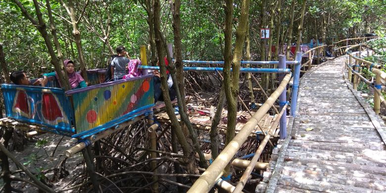 Panggung kecil di hutan mangrove perairan Kili Kili Muncar, Banyuwangi, Jatim, yang bisa digunakan untuk bersantai.