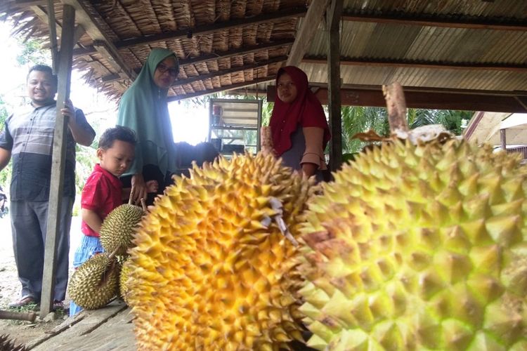 Pembeli memilih durian di Desa Mendumpang, Kecamatan Suro, Kabupaten Aceh Singkil