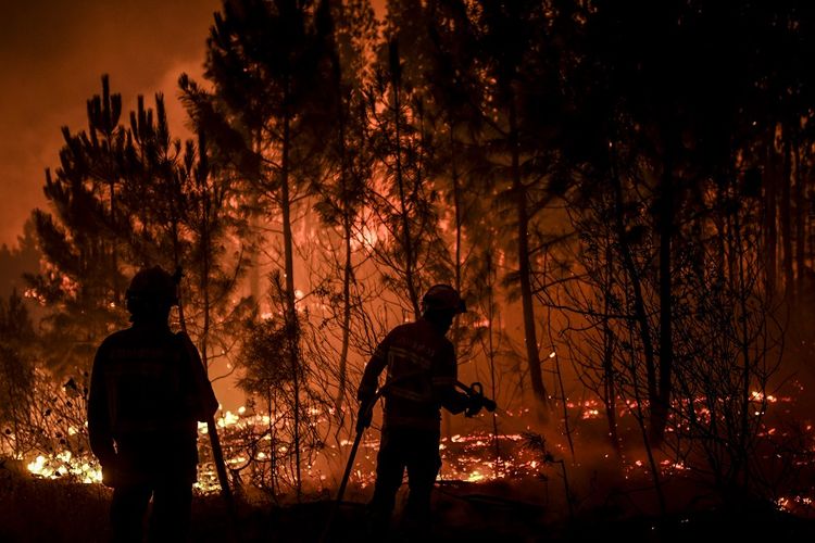 Petugas pemadam kebakaran bekerja memadamkan api di desa Cardigos di Macao, Portugal tengah, Minggu (21/7/2019).