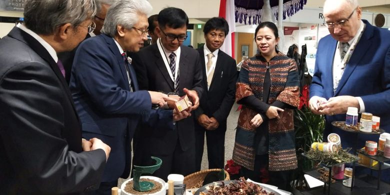 Menko PMK Puan Maharani mempromosikan jamu buatan Indonesia yang dikemas menggunakan teknologi iradiasi nuklir di Wina, Austria, Rabu 28 November 2018.
