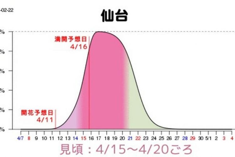 Grafik prakiraan waktu mekar sakura di Sendai