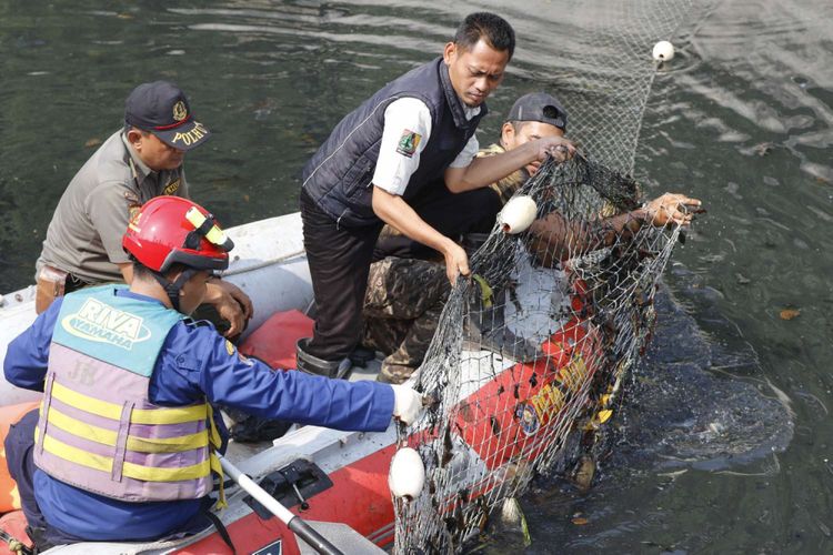 Petugas gabungan melakukan upaya penangkapan buaya di Grogol, Jakarta, Jumat (29/6/2018). Pada Rabu (27/6/2018) pagi, warga setempat melihat beberapa ekor buaya berenang di gorong-gorong Kali Grogol.