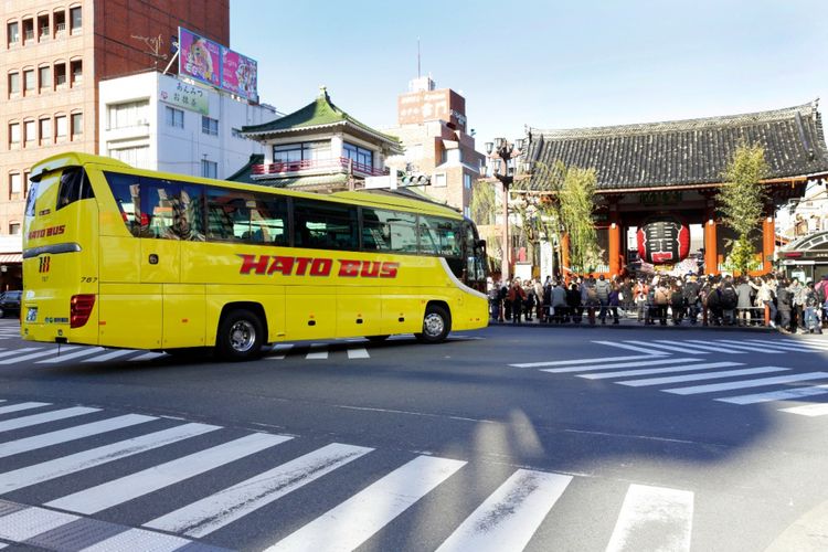 Bus Hato