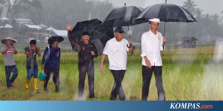 Tak Bosan-bosannya Jokowi Berpesan soal Perbedaan dan Persatuan...