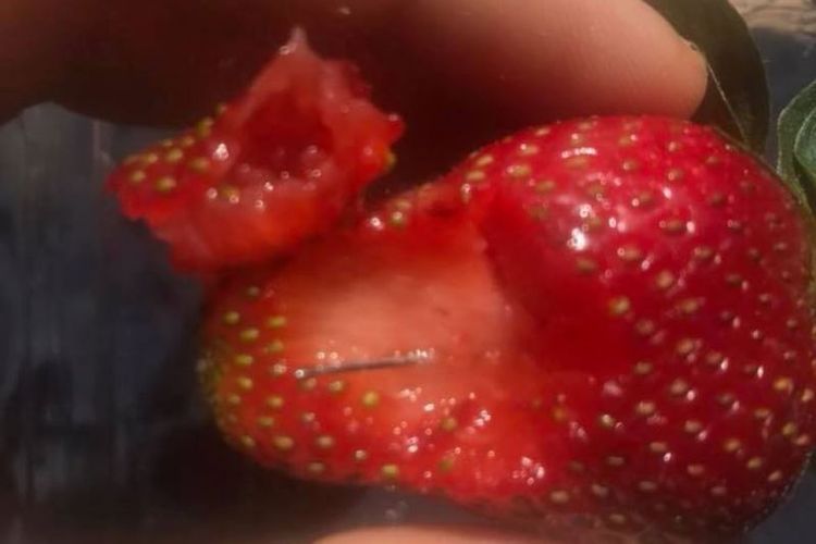 Jarum jahit ditemukan pada buah stroberi di Australia. (Facebook/Joshua Gane via ABC)