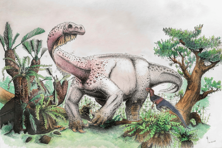 L.mafube, kandidat baru dinosaurus terbesar di dunia