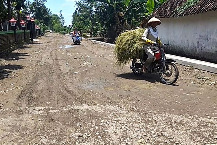 Petani Desa Jajar memanen padi pascaditerjang banjir luapan Sungai Madiun. Petani mengaku merugi karena pedagang hany amembeli murah gabah padi yang terendam banjir.