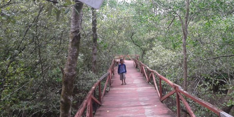 Pusat Restorasi dan Pembelajaran Mangrove di Desa Batukaras, Kecamatan Cijulang, Kabupaten Pangandaran, Jawa Barat, Rabu (19/12/2018).