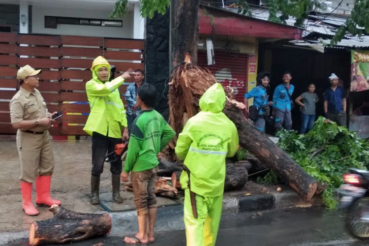 Pohon tumbang di Jalan Karang Tengah Raya, Lebak Bulus, Selasa (23/10/2018).