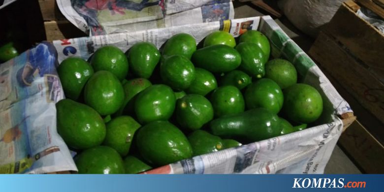 Ternyata, Alpukat untuk Atlet Asian Games dari Pasaman Barat