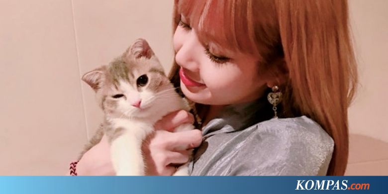 Lisa BLACKPINK Jadi Artis  K pop dengan Follower  Terbanyak  