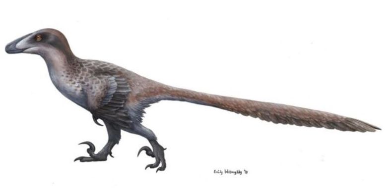 Ilustrasi Deinonychus berdasarkan temuan terbaru