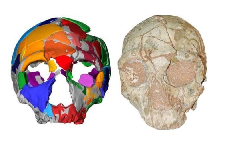 Fosil tengkorak Apidima 2 diyakini adalah Neanderthal dan usianya lebih muda ketimbang fosil manusia modern (Apidima 1)