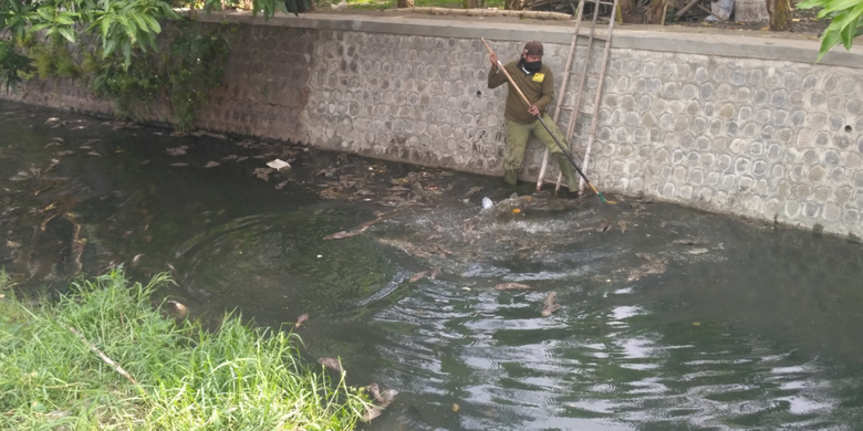 Ribuan bangkai ikan sapu-sapu di Sungai Kresek, Kota Kediri, Sabtu (22/12/2018). 