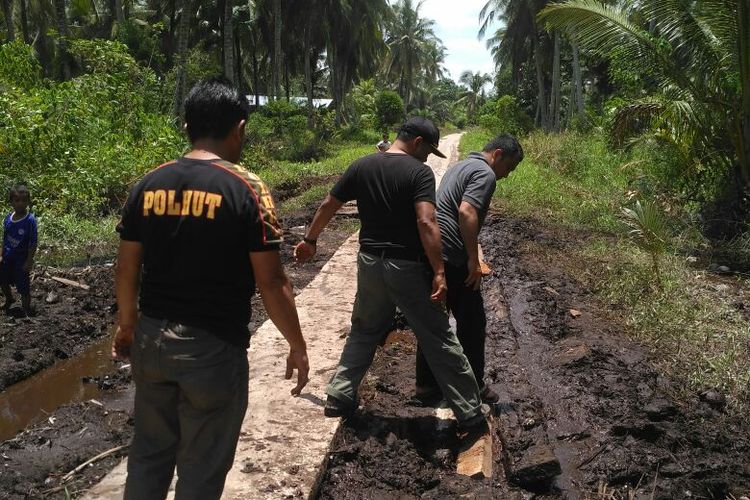 Upaya tim gabungan dan BBKSDA Riau melakukan penangkapan terhadap harimau Bonita di Kecamatan Palangiran, Kabupaten Indragiri Hilir, Riau.