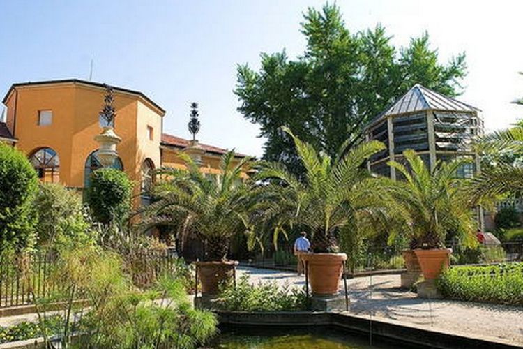 Ordo Botanico di Padova