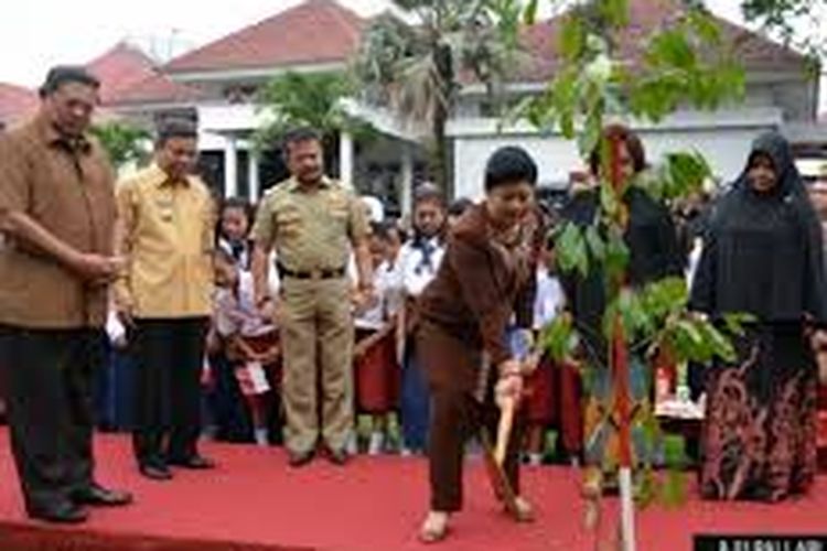 Ani Yudhoyono saat menanam pohon di pendopo rujab wali kota Parepare