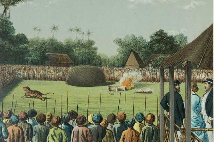 Lukisan Rampogan Macan berjudul Grasveld met tijger en publiek rampokkan oleh Josias Cornelis Rappard, menunjukkan seekor harimau Jawa yang dikepung ribuan pria bersenjata tombak di Alun Alun Kraton Surakarta.                     