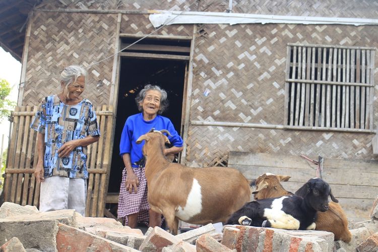 Icih dan Uka, dua lansia asal Kampung Krajan Pawanda, Desa Medangasem, Kecamatan Jayakerta, Kabupaten Karawang tinggal serumah bersama kambing, Sabtu (7/9/2019).