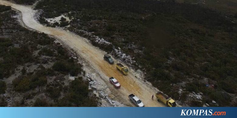 Kementan Segera Kembangkan Komoditas Kopi di Jalur Trans Papua