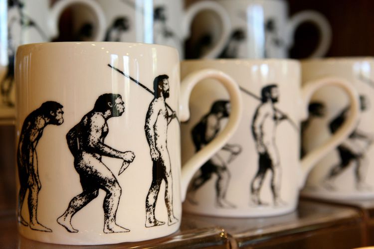 Mug yang menggambarkan evolusi manusia dipajang di rumah naturalis Inggris Charles Darwin, Down House, di Bromley, Kent, 12 Februari 2009. Darwin pindah ke Down House pada 1842. Dia melakukan eksperimen dan penelitian di sana selama 40 tahun. Rumah tersebut dibuka kembali untuk umum pada 13 Februari 2009 sehari setelah ulang tahun ke-200 kelahiran Darwin.