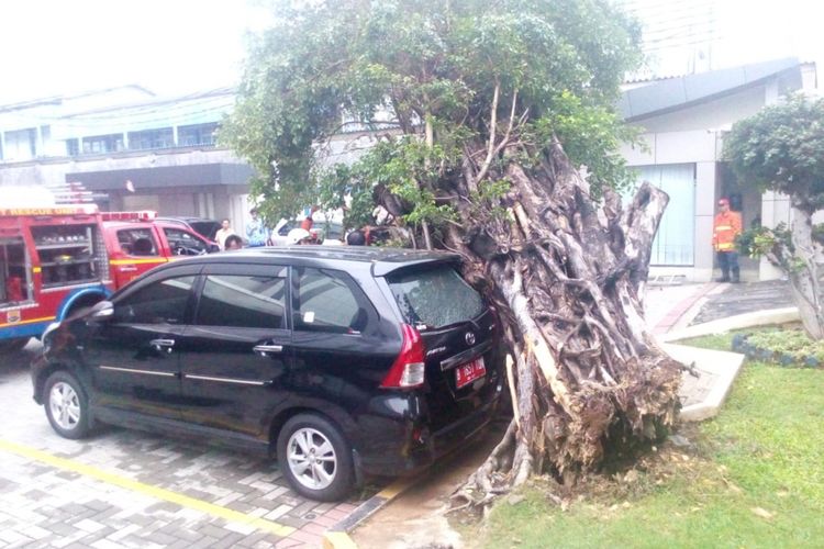 Hujan deras dan angin kencang menyebabkan pohon tumbang dan menimpa dua mobil di Rawamangun, Jakarta Timur, Kamis (29/11/2018)