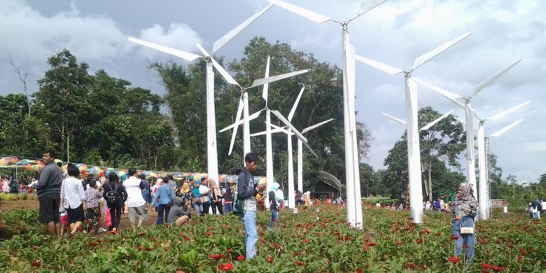 Kincir angin di Taman Bunga Celosia, kawasan wisata Gedung Songo, Kecamatan Bandungan, Kabupaten Semarang, Jawa Tengah.