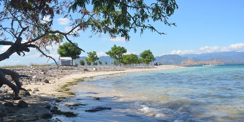 Pantai Pasir Putih Pulau Kinde yang sangat menakjubkan di Desa Tendakinde, Kecamatan Wolowae, Kabupaten Nagekeo, Flores, NTT, Kamis (20/6/2019). Tim Kementerian Pariwisata Republik Indonesia bersama Konsultan dari ITB melakukan kunjungan untuk pilot proyek Destinasi baru tingkat Nasional di Pulau Flores. 