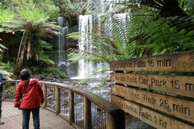 Air terjun Russell Falls salah satu yang dicari pengunjung taman nasional Mount Field, Tasmania.