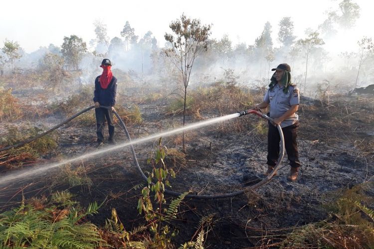 Tim satgas berupaya memadamkan kebakaran hutan dan lahan di kampung bungsur kecamatan sungai api siak