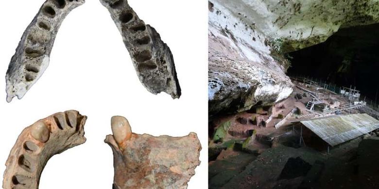 Dua rahang manusia dari Gua Niah di Borneo ditemukan pada tahun 1958 tetapi baru saja terungkap identitasnya. Rahang atas adalah 30.000 tahun, rahang bawah 11.000 tahun; gambar kiri adalah situs purbakala Niah Caves tempat kedua rahang ditemukan. 