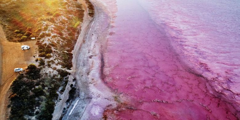 Danau Hutt Lagoon yang berwarna merah muda.