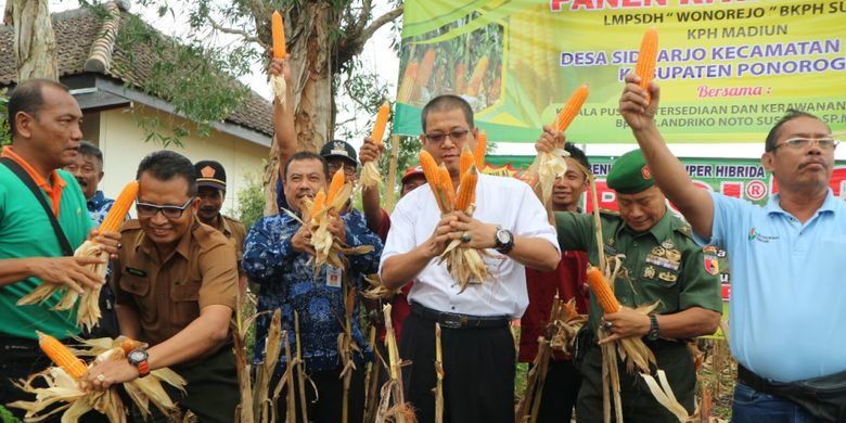 Kehadiran Bulog sebagai wakil pemerintah sangat dibutuhkan untuk menjaga stabilitas harga jagung di tengah masa panen raya