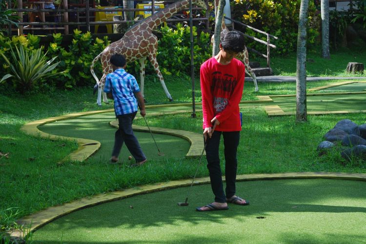 Seorang anak sedang bermain mini golf di Hotel Royal Safari Garden, Sabtu (23/12/2017).