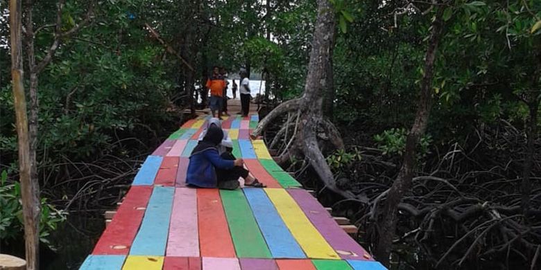 Hutan Mangrove di Desa Kecapi mulai dikenal masyarakat untuk berwisata 