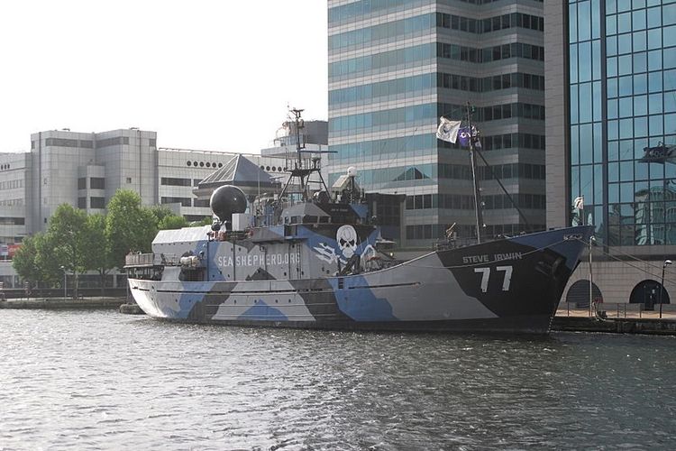 MY Steve Irwin, kapal milik organisasi Sea Shepherd, yang mengejar kapal Bandit 6 Viking dan mengabarkan posisinya kepada TNI AL.