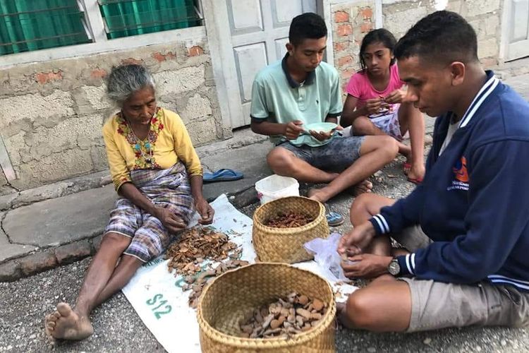 Margaretha Hati Manhitu (78), ibu kandung Bupati Timor Tengah Utara (TTU) Raymundus Sau Fernandez, tengah mengupas buah asam bersama dua orang cucu dan seorang kerabatnya