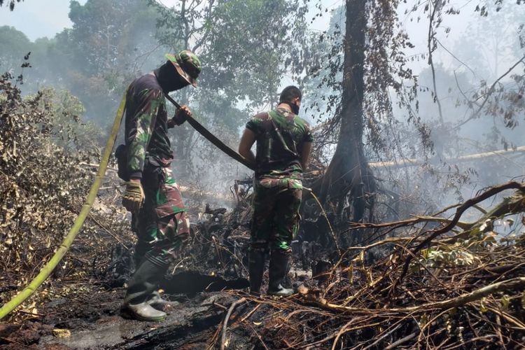 Pasukan Komando Strategi Angkatan Darat (Kostrad) yang tergabung dalam Tim Satgas Karhutla Riau, melakukan pemadaman api kebakaran lahan gambut di Kelurahan Terkul, Kecamatan Rupat, Kabupaten Bengkalis, Riau, Selasa (26/2/2019). Pasukan ini terkendala mematikan api, karena sumber air terbatas.