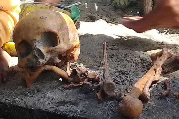 Tengkorak dan tulang belulang manusia yang ditemukan Cardas Humu, warga Desa Bumbulan, Kecamatan Paguat, Kabupaten Pohuwato, Provinsi Gorontalo.