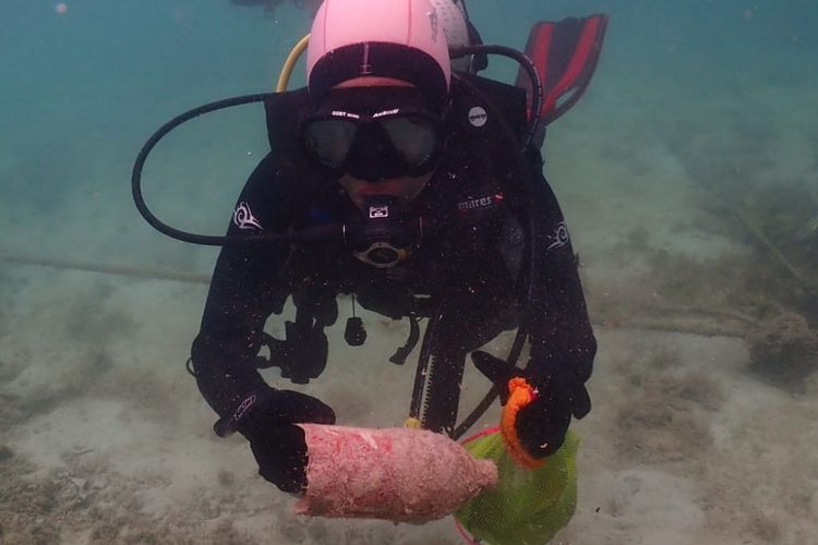 Seorang Diver memungut sampah berupa botol plastik di dasar laut Kepulauan Seribu.