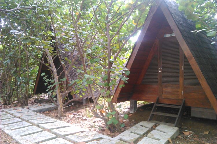 Suasana rindang yang terdapat di Wisata Alam Mangrove, Jakarta.