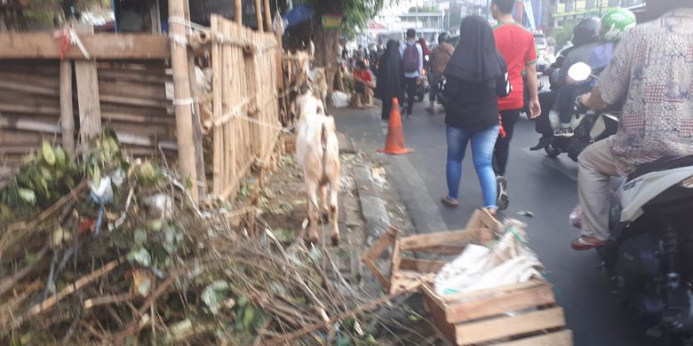 para pedagang hewan kurban mulai berjualan di sepanjang trotar dan bahu jalan di Jalan KH Mas Mansyur, Tanah Abang, Jakarta Pusat. Foto diambil Senin (20/8/2018)