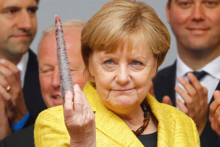 Kanselir Jerman Angela Merkel, kandidat utama Partai Christian Democratic Union (CDU) untuk pemilihan umum mendatang, memegang sayuran dalam sebuah reli kampanye di Freiburg, Jerman, Senin (18/9/2017). ANTARA FOTO/REUTERS/Kai Pfaffenbach/cfo/17