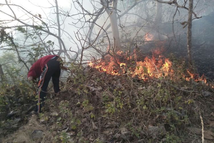 Kobaran api membakar lahan Hutan Gunung Nepen yang berada di Desa Nglewan, Kecamatan Sambit, Kabupaten Ponorogo dilaporkan terbakar sejak Jumat (4/8/2017) sore.