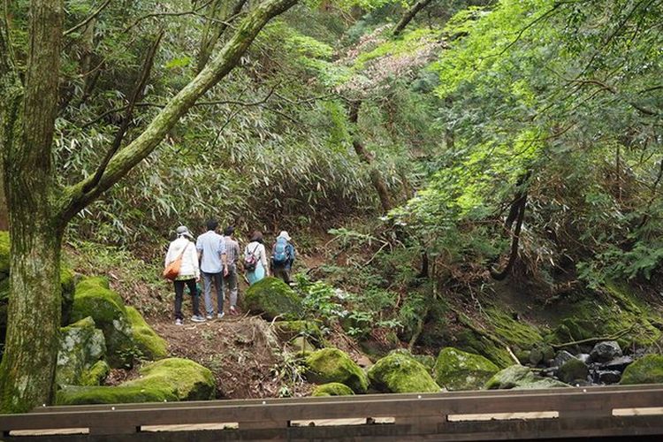 Hiking di musim gugur. 