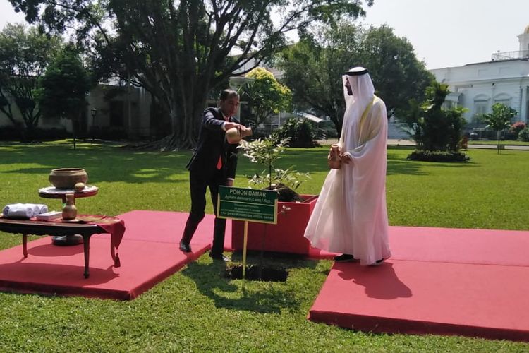 Presiden Joko Widodo mengajak Putra Mahkota Abu Dhabi, Sheikh Mohamed Bin Zayed Al Nahyan untuk menanam pohon di Istana Bogor, Rabu (24/7/2019).